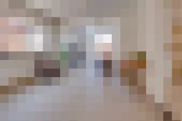 Visserstraat 14 Linne thumbnail 12