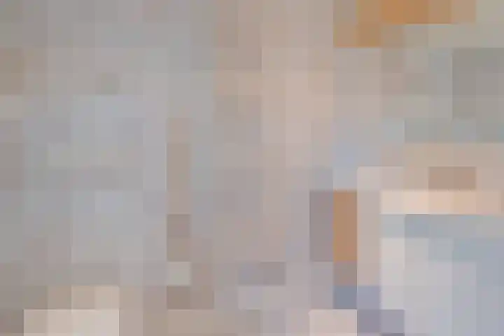 Visserstraat 14 Linne thumbnail 25