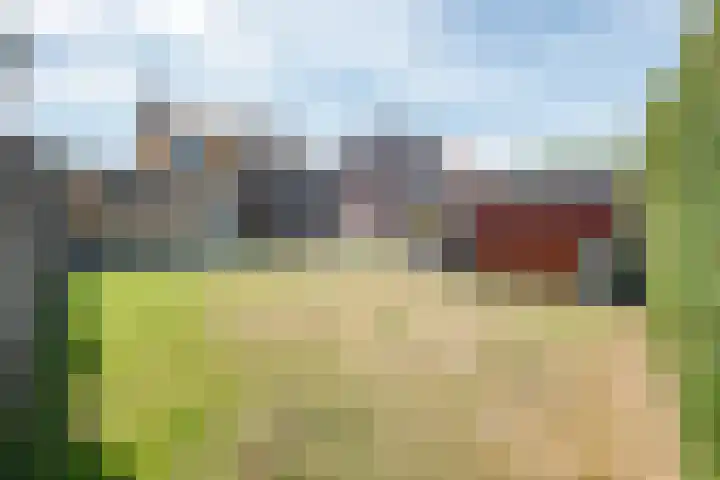 Visserstraat 14 Linne thumbnail 4
