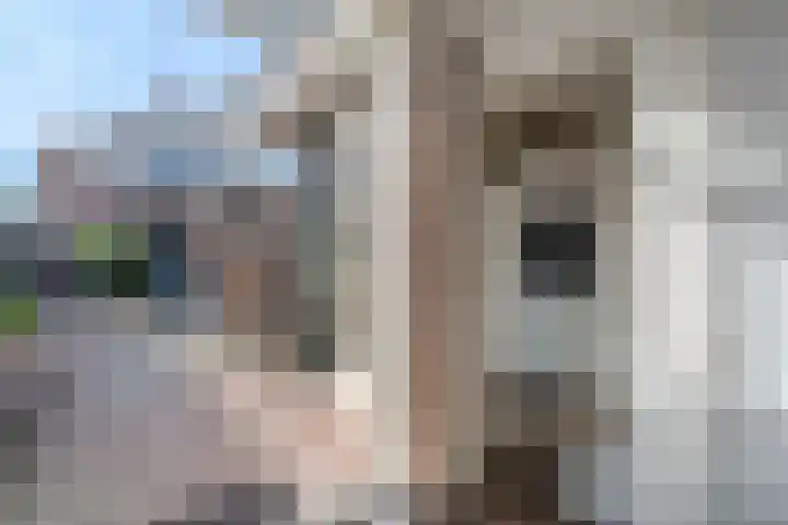 Visserstraat 15 Egmond aan Zee thumbnail 16