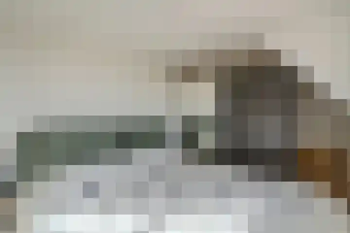 Visserstraat 15 Egmond aan Zee thumbnail 24