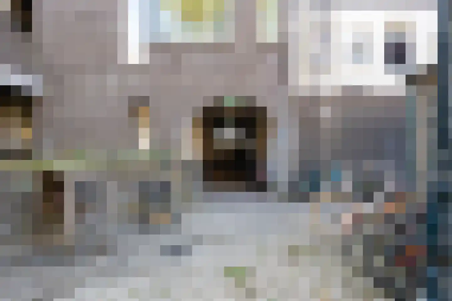 Visserstraat 21 Breda thumbnail 14