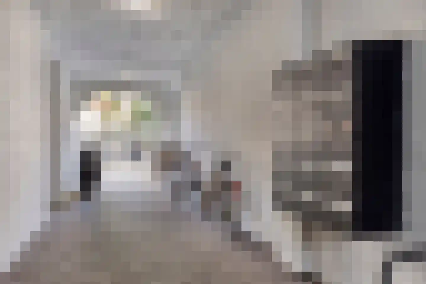 Visserstraat 21 Breda thumbnail 16