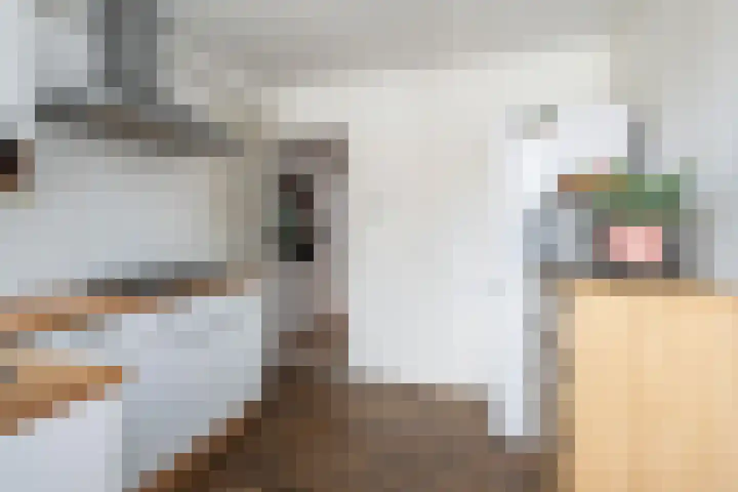 Visserstraat 23 Steenbergen thumbnail 14
