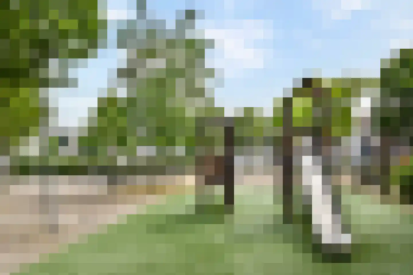 Visserstraat 25 Schiedam thumbnail 19