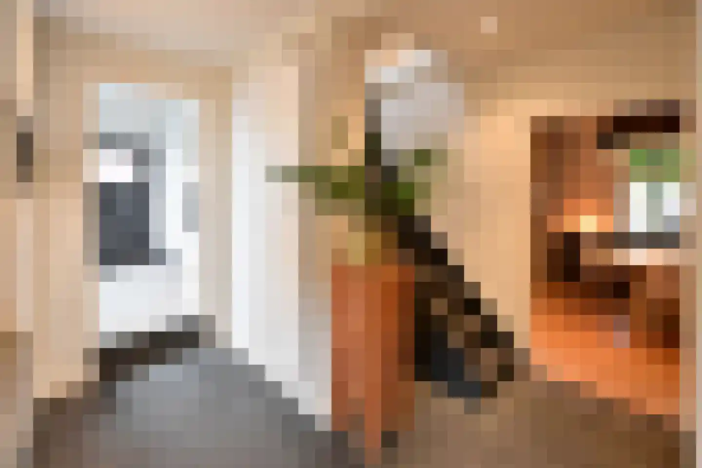 Visserstraat 27 Bussum thumbnail 12