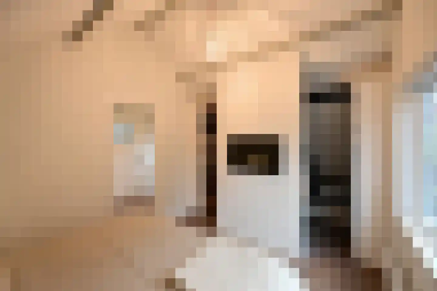 Visserstraat 27 Bussum thumbnail 18