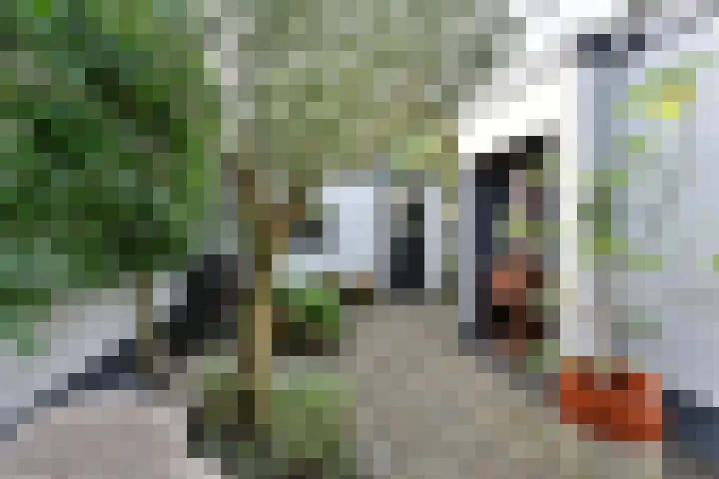 Visserstraat 27 Bussum thumbnail 29