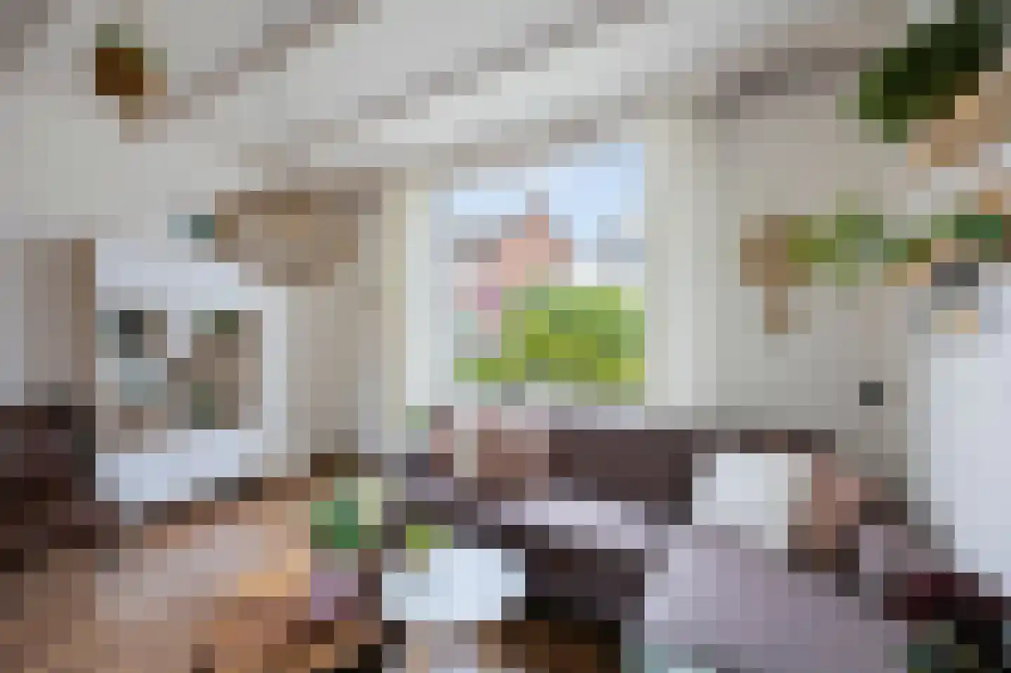 Visserstraat 27 Linne thumbnail 11