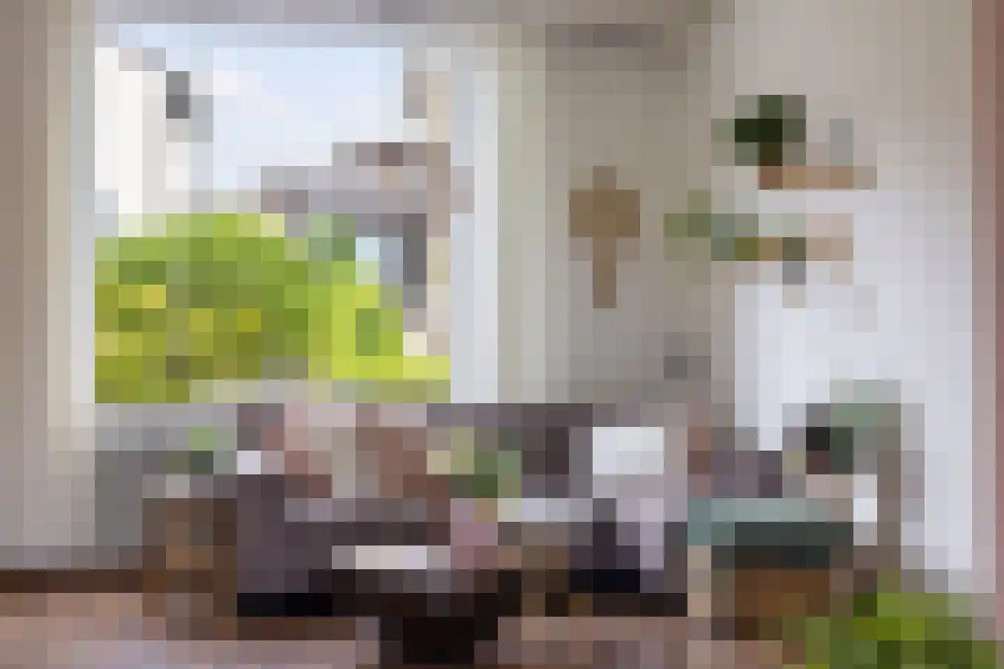 Visserstraat 27 Linne thumbnail 12