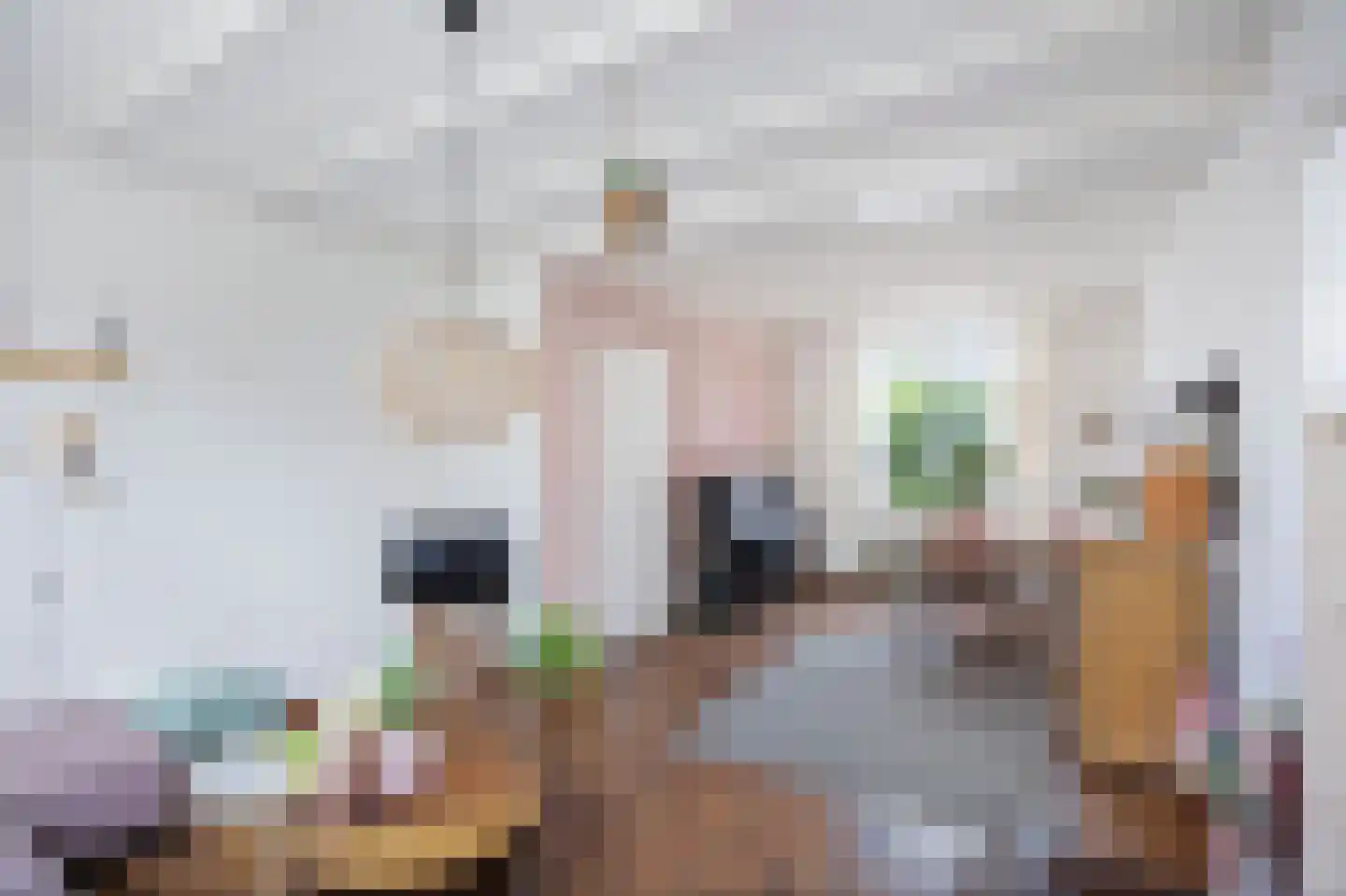 Visserstraat 27 Linne thumbnail 13