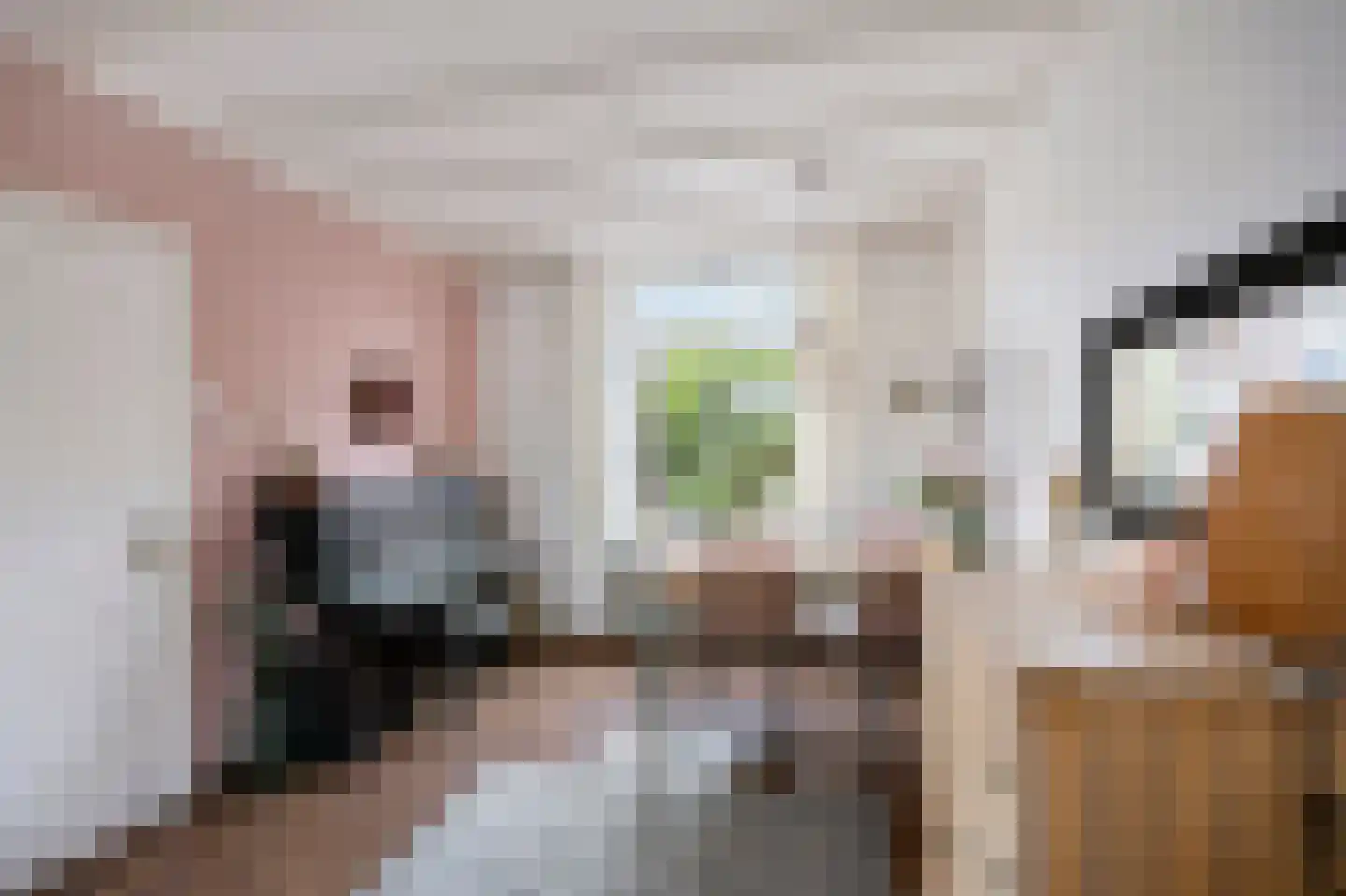 Visserstraat 27 Linne thumbnail 14