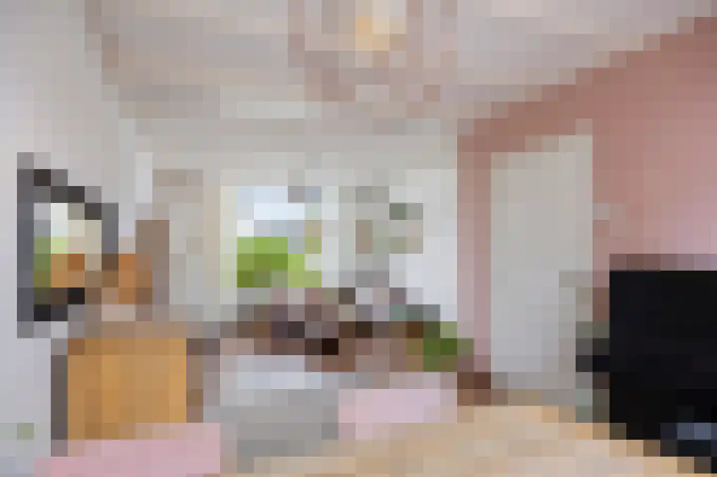 Visserstraat 27 Linne thumbnail 17