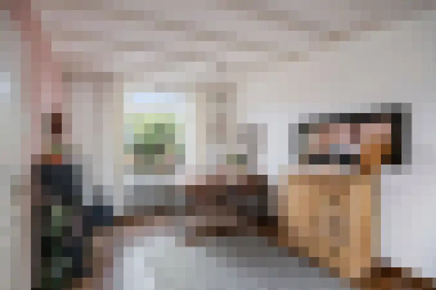 Visserstraat 27 Linne thumbnail 19