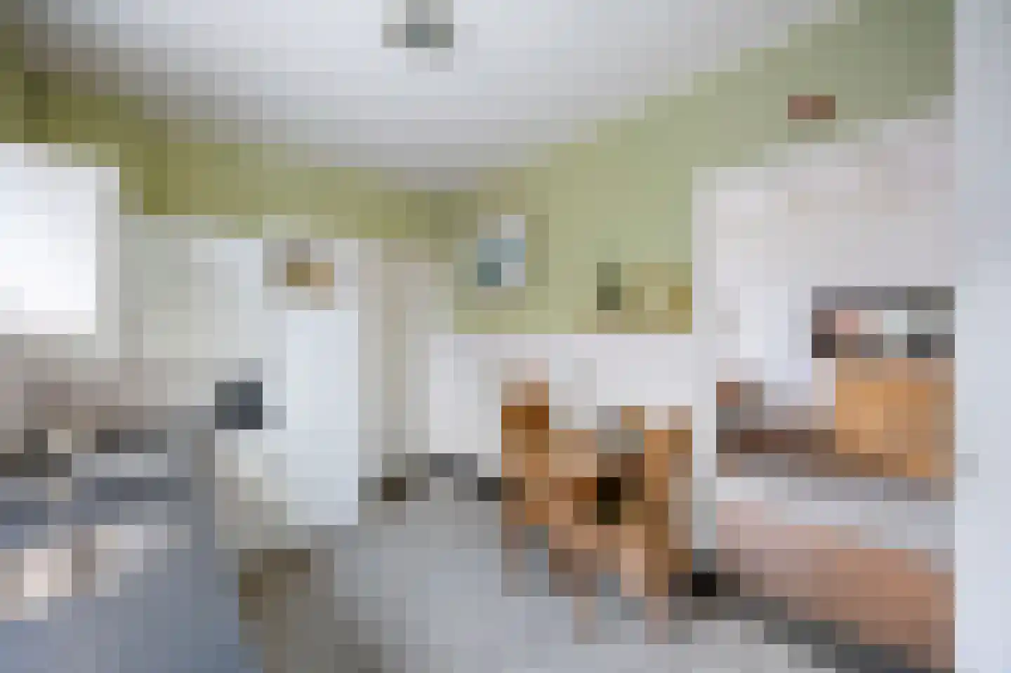 Visserstraat 27 Linne thumbnail 22