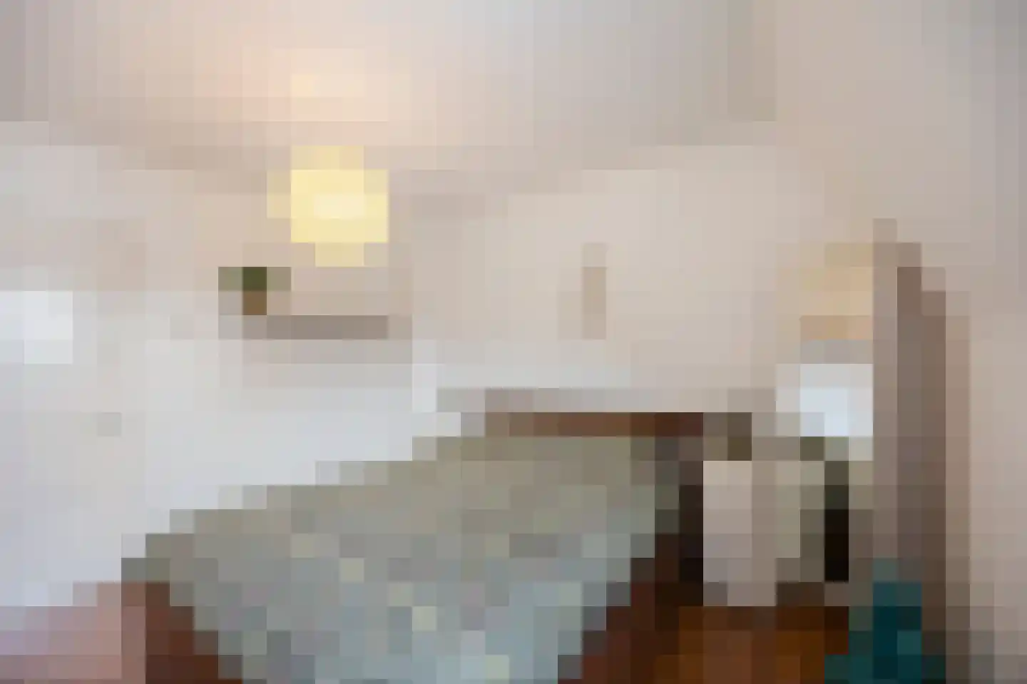 Visserstraat 27 Linne thumbnail 28