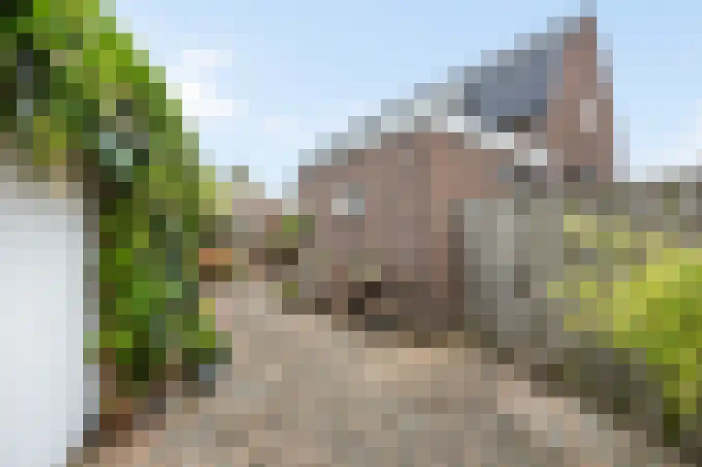Visserstraat 27 Linne thumbnail 39