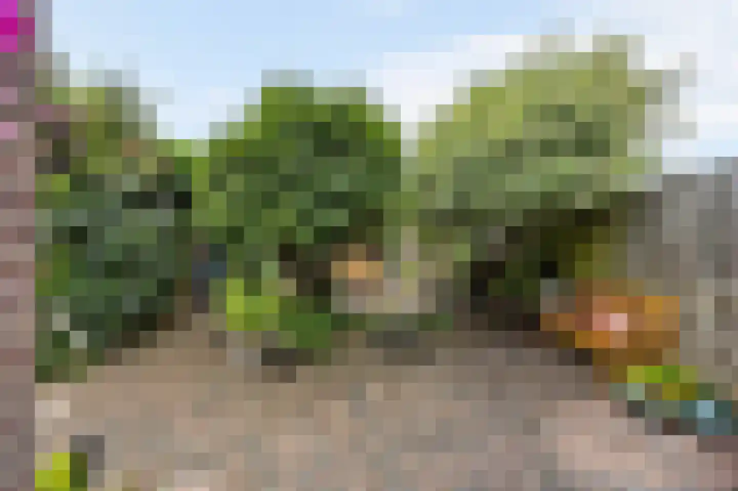 Visserstraat 27 Linne thumbnail 43