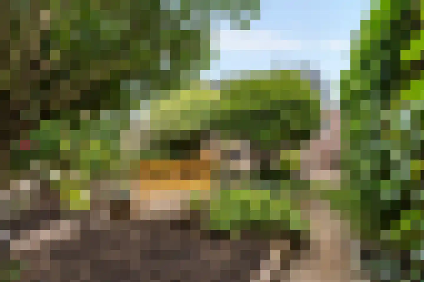 Visserstraat 27 Linne thumbnail 45