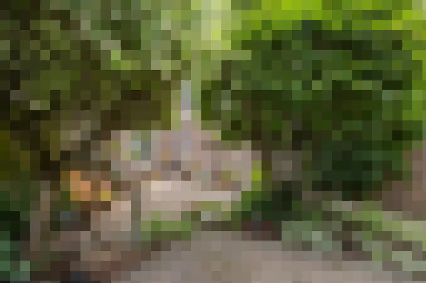 Visserstraat 27 Linne thumbnail 46