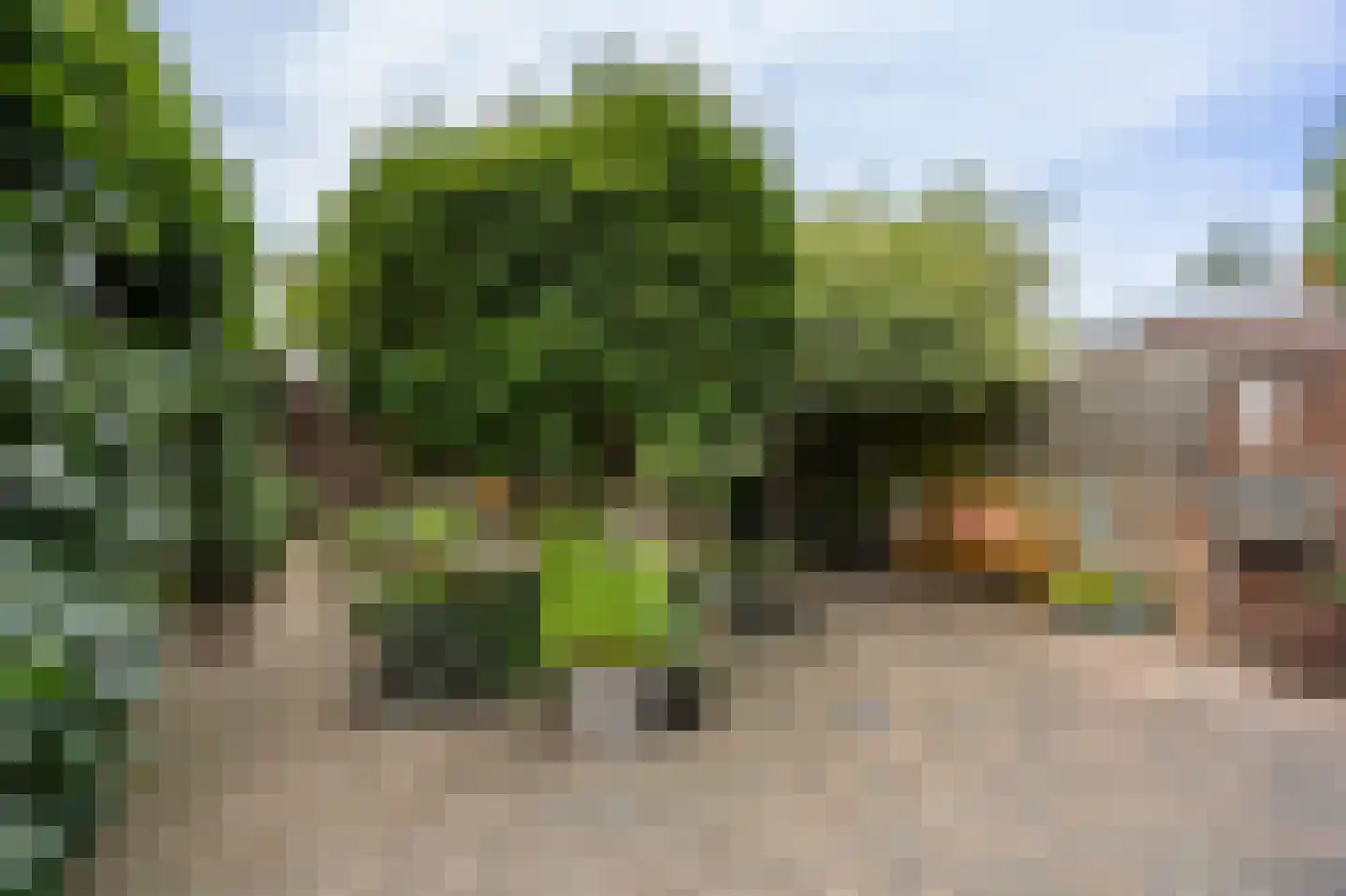 Visserstraat 27 Linne thumbnail 47