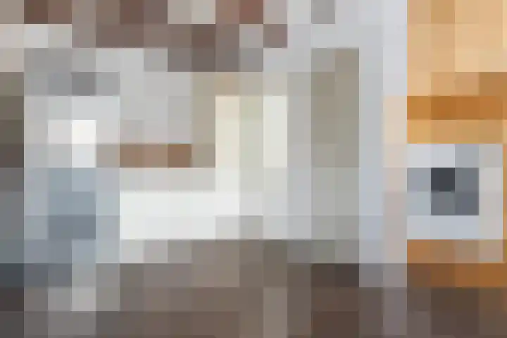 Visserstraat 29 Klijndijk thumbnail 20