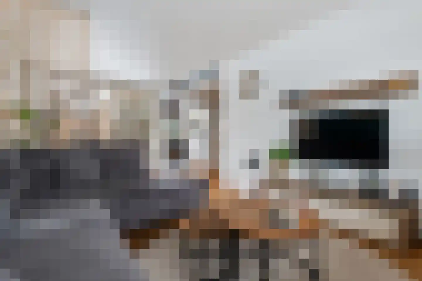 Visserstraat 29 Klijndijk thumbnail 9
