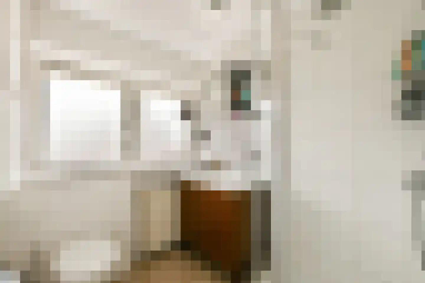 Visserstraat 32 Bussum thumbnail 16
