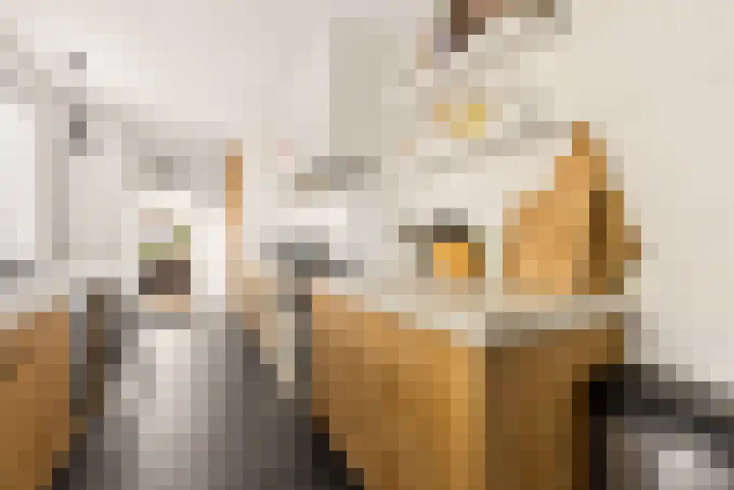 Visserstraat 32 Bussum thumbnail 17