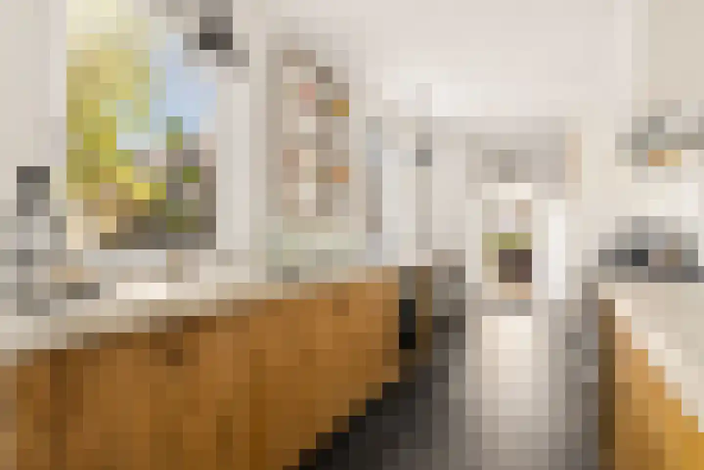 Visserstraat 32 Bussum thumbnail 18
