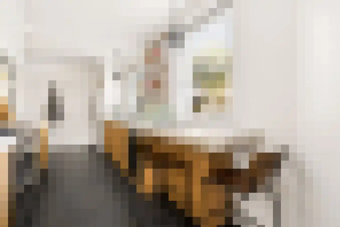 Visserstraat 32 Bussum thumbnail 19