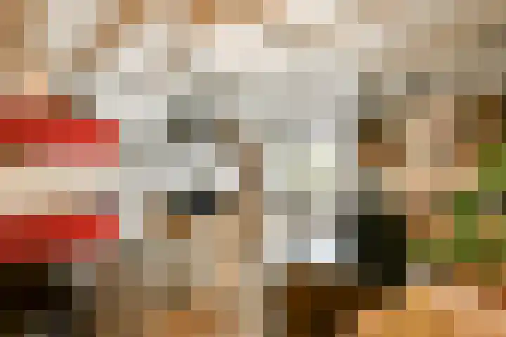 Visserstraat 32 Bussum thumbnail 22