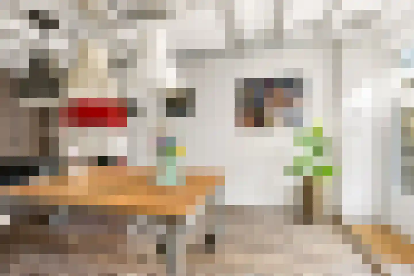 Visserstraat 32 Bussum thumbnail 22