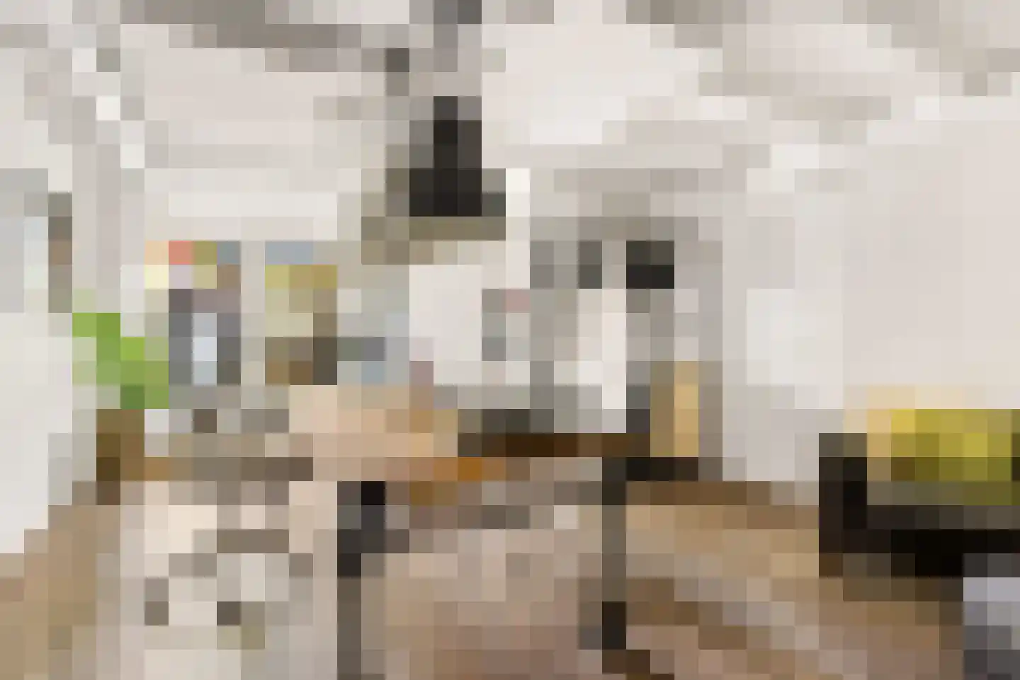 Visserstraat 32 Bussum thumbnail 24