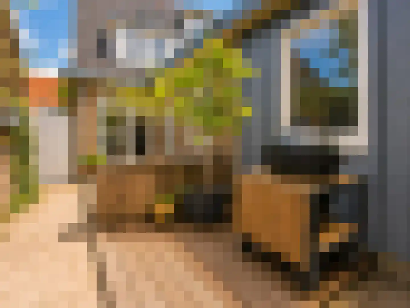 Visserstraat 32 Bussum thumbnail 24