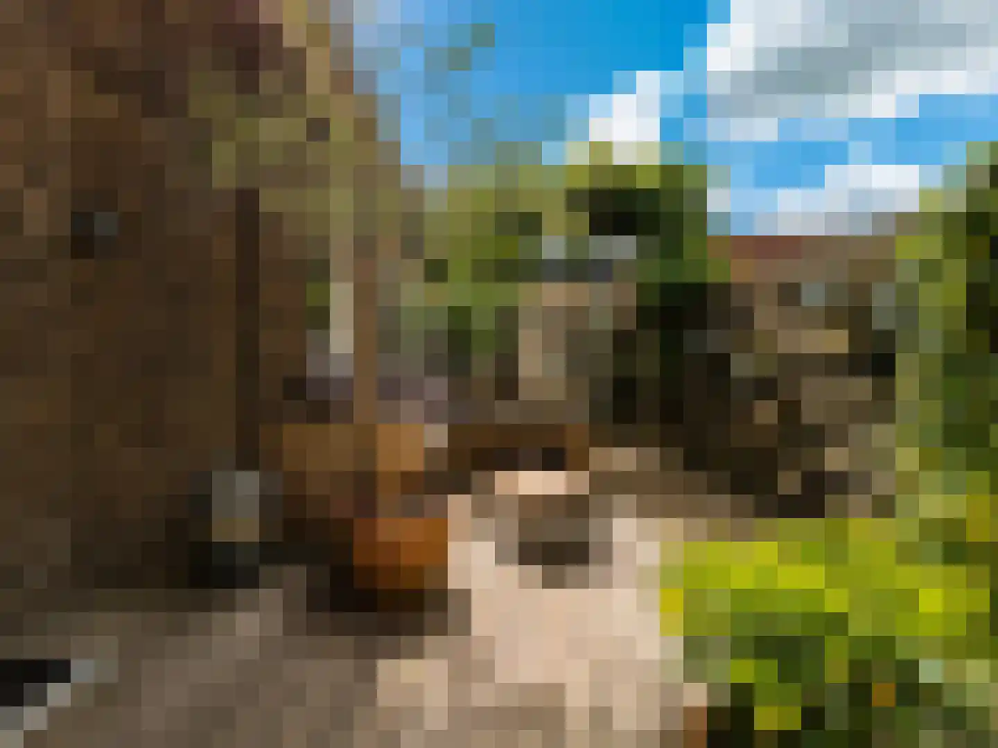 Visserstraat 32 Bussum thumbnail 25