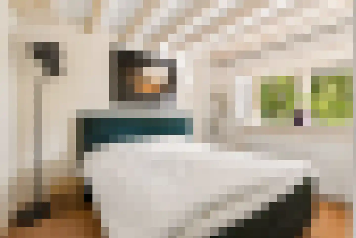 Visserstraat 32 Bussum thumbnail 35