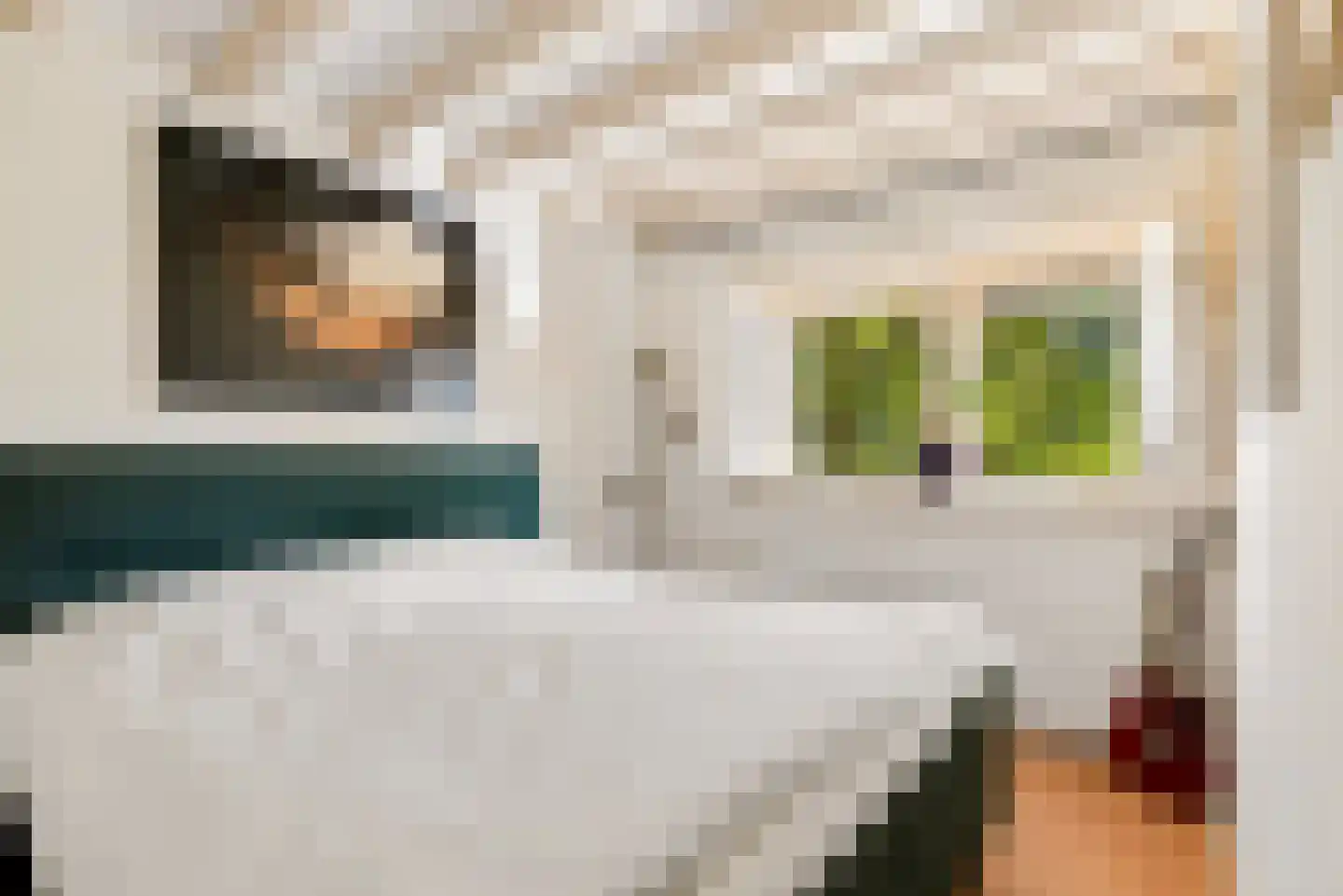 Visserstraat 32 Bussum thumbnail 37