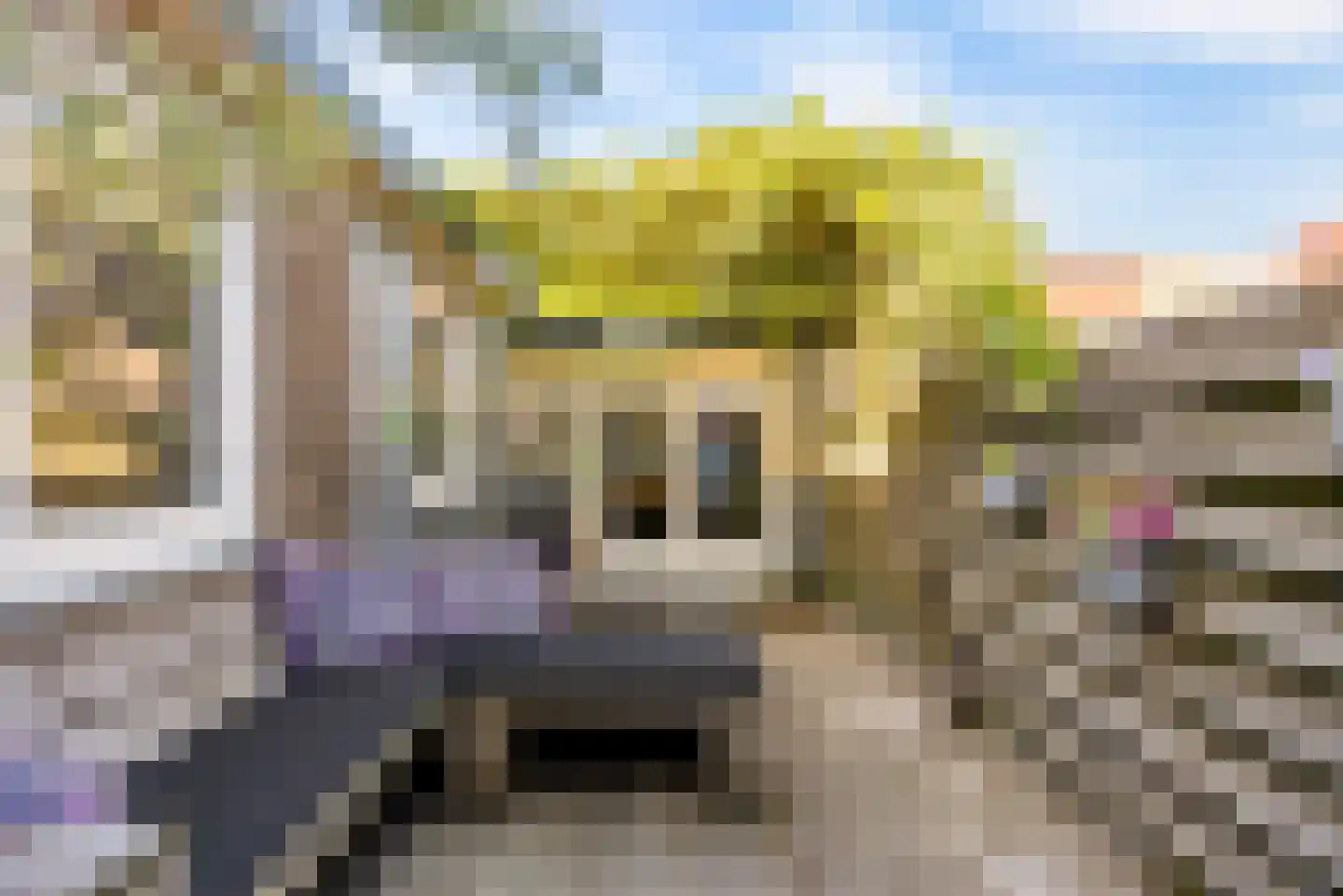 Visserstraat 32 Bussum thumbnail 45