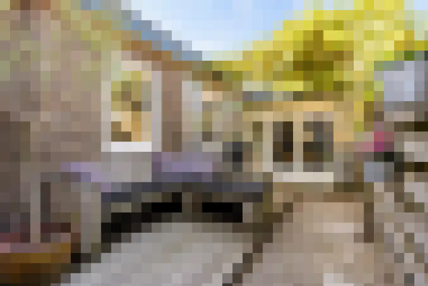 Visserstraat 32 Bussum thumbnail 47