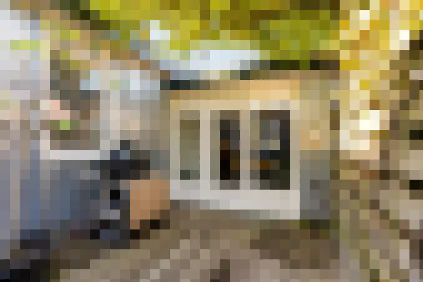 Visserstraat 32 Bussum thumbnail 49