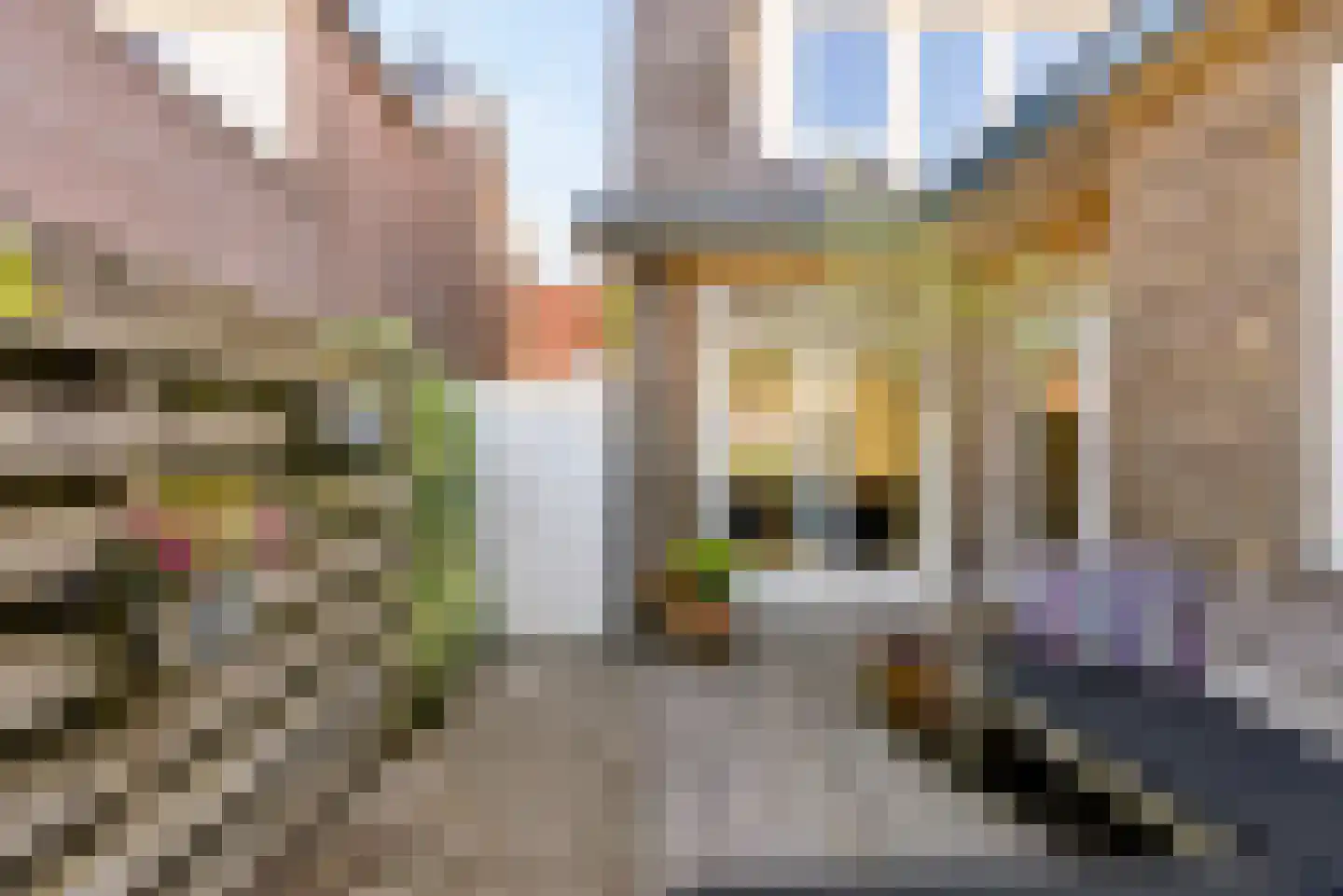 Visserstraat 32 Bussum thumbnail 50
