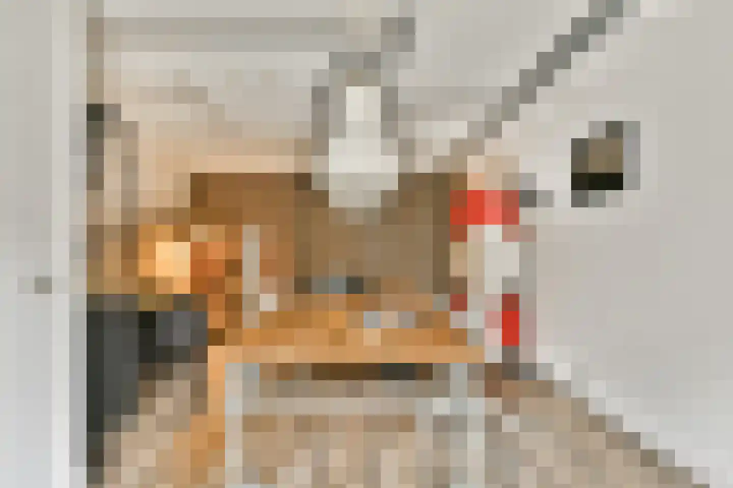 Visserstraat 32 Bussum thumbnail 8