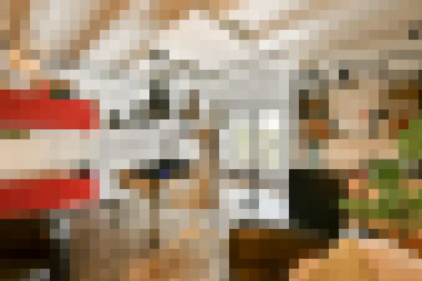 Visserstraat 32 Bussum thumbnail 9
