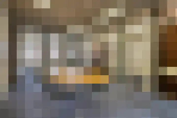 Visserstraat 38 Steenbergen thumbnail 21