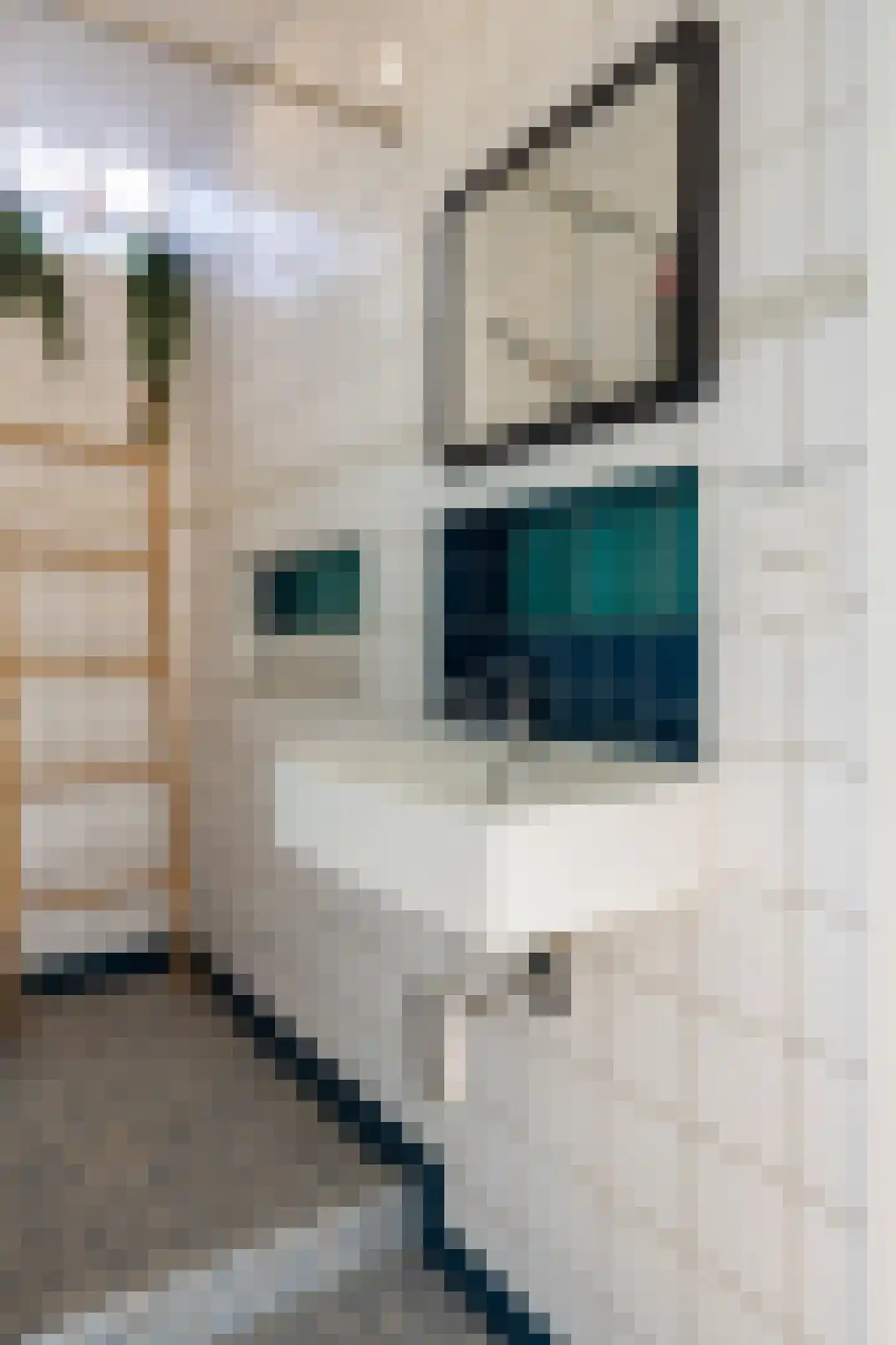 Visserstraat 40 b Groningen thumbnail 23