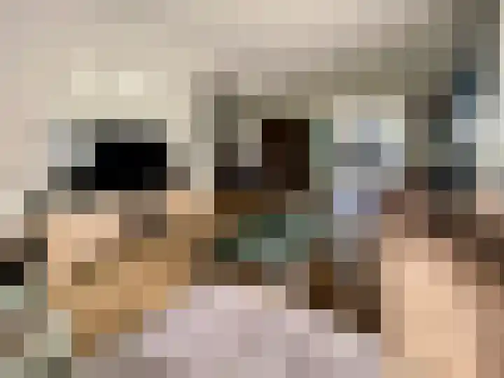 Visserstraat 46 Linne thumbnail 12