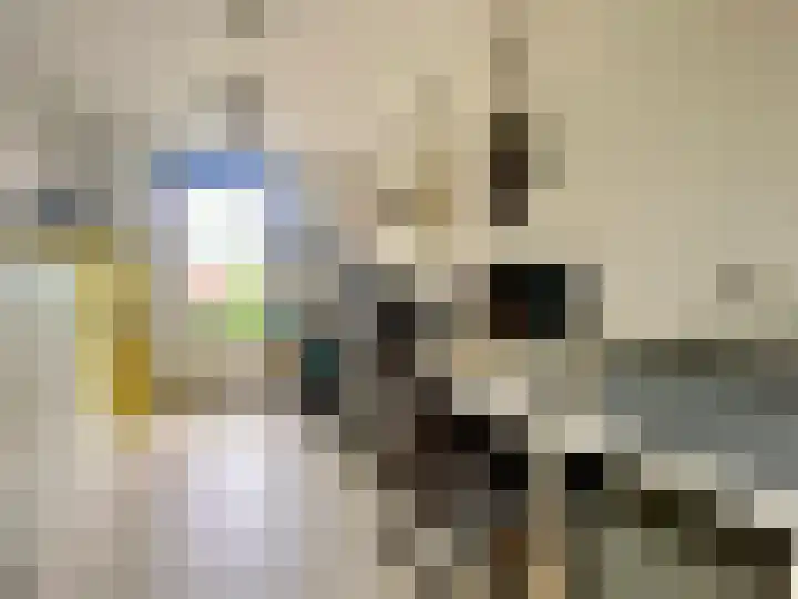 Visserstraat 46 Linne thumbnail 15