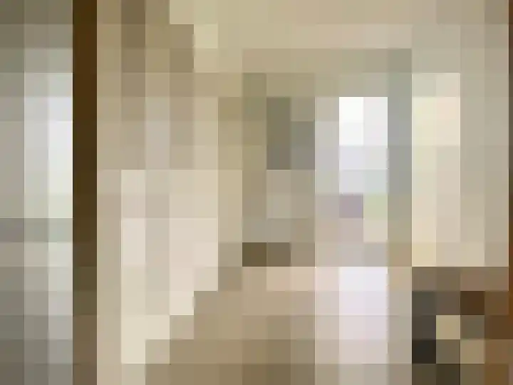 Visserstraat 46 Linne thumbnail 17