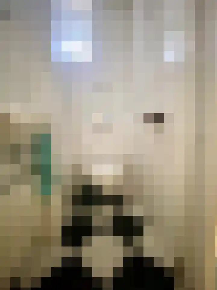 Visserstraat 46 Linne thumbnail 18